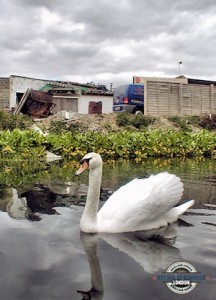 Excellent junk collection services in Barnes Cray