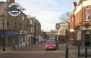 Leaging junk removal team in Roehampton