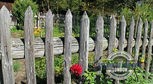 Garden-Fence
