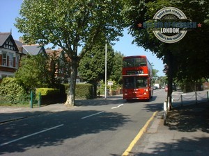 Highams-Park-The-Avenue