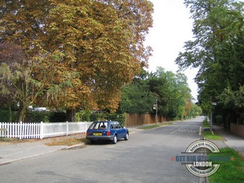 Eco-friendly junk collection in Bickley