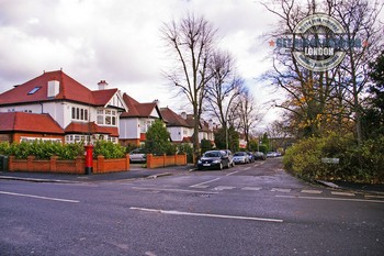 Good domestic waste collection in Chingford