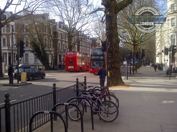 Domestic waste clearance in Holland Park