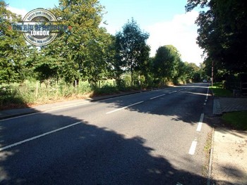 Professional rubbish collection in Leaves Green